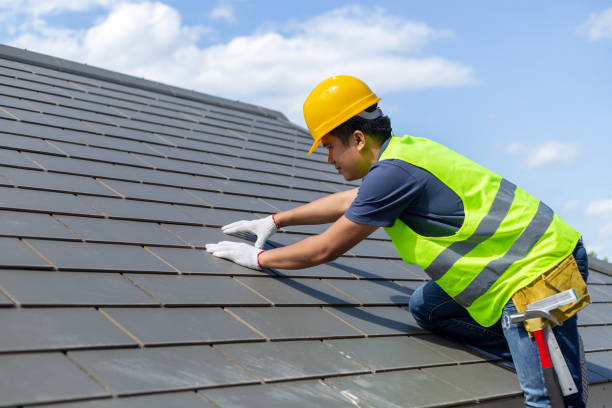 Professional Roofing Contractor in Rogers, MN