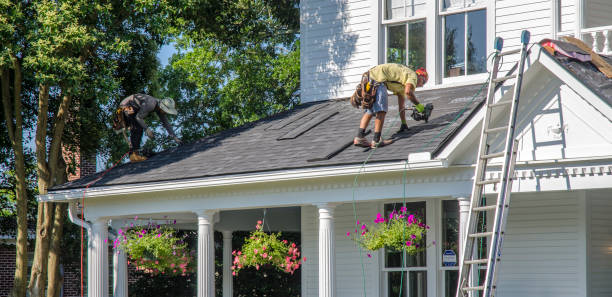 Best Storm Damage Roof Repair  in Rogers, MN