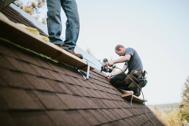 Residential Roof Replacement in Rogers, MN